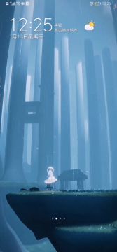 动态壁纸•雨林