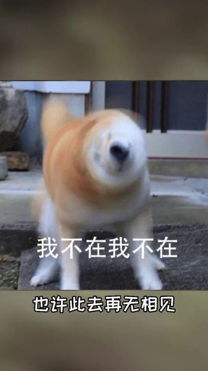 “我的意思是,谢谢你的出现”截图