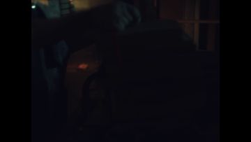 【养育品牌宣传片·责任篇今日上映】