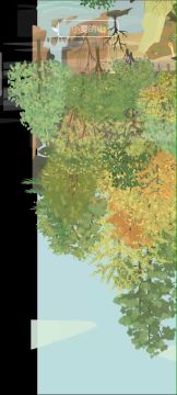 收 集 鸟 叫 困 难 模 式