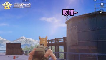 荒野行动：天降神掌