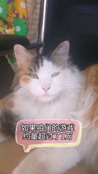 老板发话了   可能要提前上线