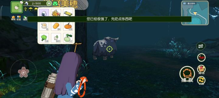 关于捕捉。截图