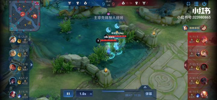 这就是国服绑手截图