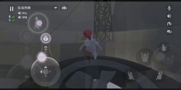 （球球和九儿） —— 经验分享第五篇 —— 半身不遂