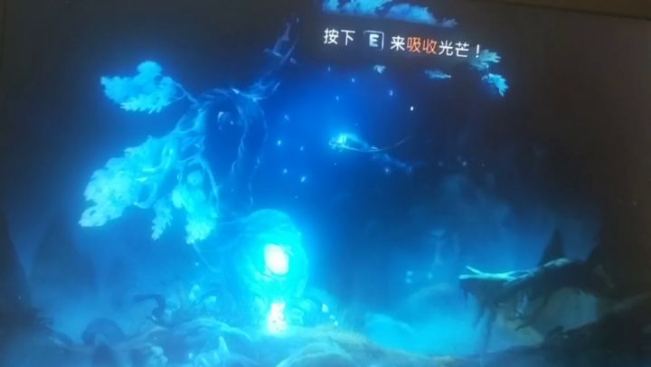 躁动的树干奥日版截图