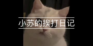 《这   把   能   输   ？》