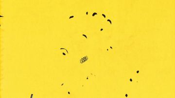 斯图驾校招生，买到就是撞到！