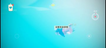 你们都向往天空，我只向往大海！