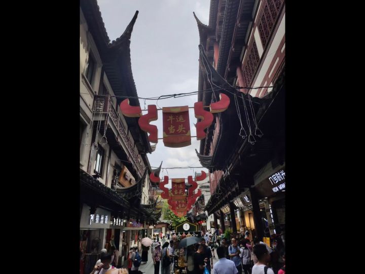 江南百景图周年快乐，快来豫园打卡吧！截图