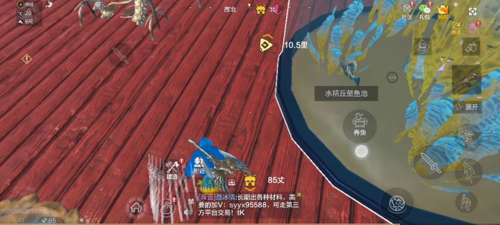 大鱼缸鱼不见了截图