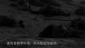 【感恩活动】是时候来一波测试总结啦！有活动，快来！