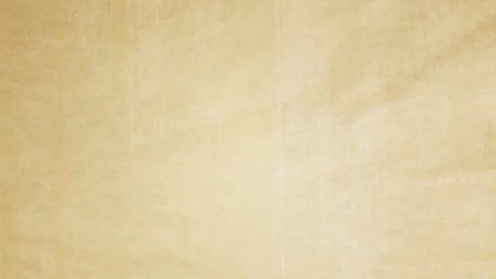 曾经的玩伴截图