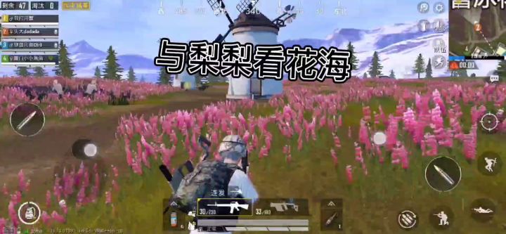 想陪梨梨看花海截图