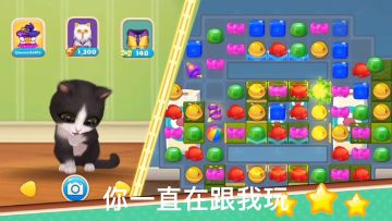 当你发现你的喵是只“绿茶”