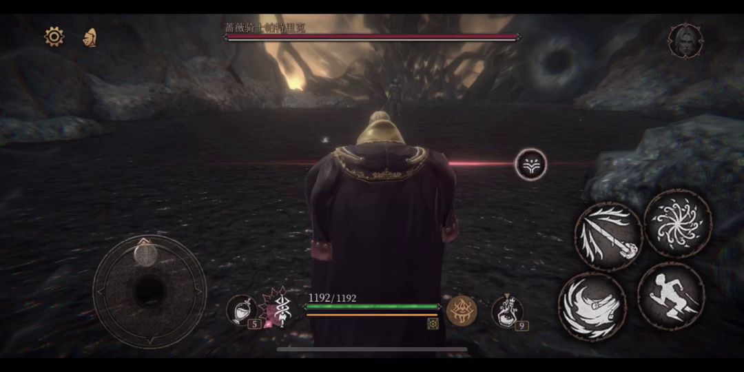 video-1556408