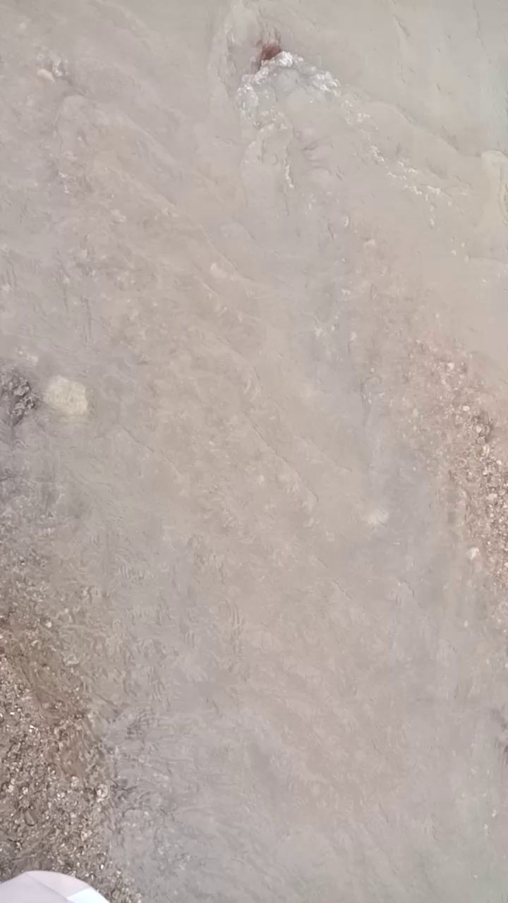 去家旁边的小河玩了！(=^▽^=)截图