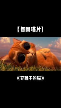 【每周喵片】卖萌是猫咪的第一生产力？