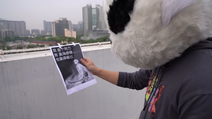 本周六18:00点 阿力新流派直播开启!截图
