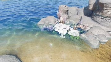 海洋版“动物世界”，天下宗师群侠团成员首亮相！