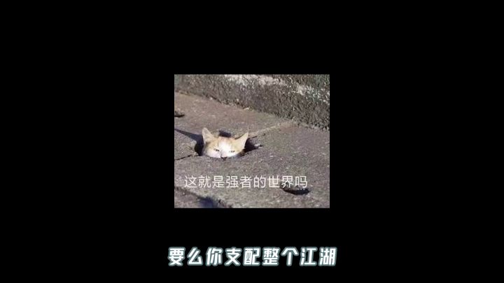 白衣路线攻略截图