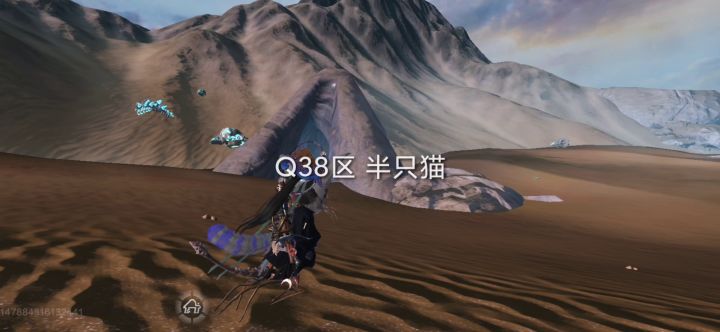 山顶洞喵和他的小蜜蜂截图