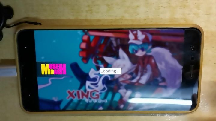 XING IN13 FC手元截图