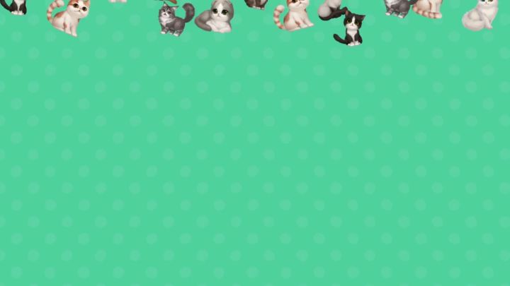 养猫那些事儿丨猫德大挑战第一期，你是一个合格的铲屎官吗？截图