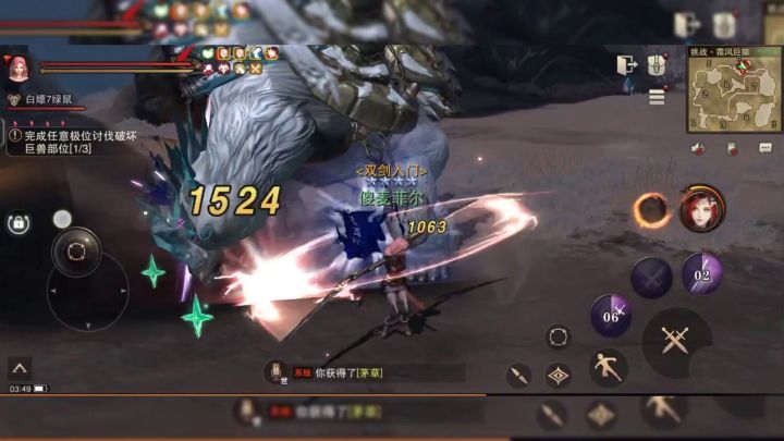 低配物理双剑之极位霜风巨猿截图