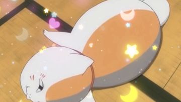 【治愈站】你最想拥有哪只小猫？