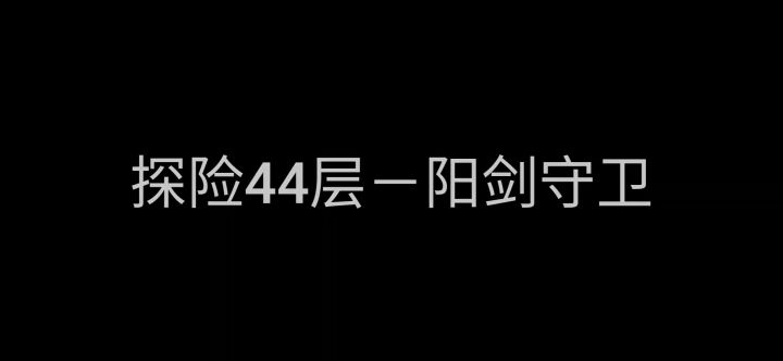 探险44层阳剑-[可作为38层以上阳剑模板打法]截图
