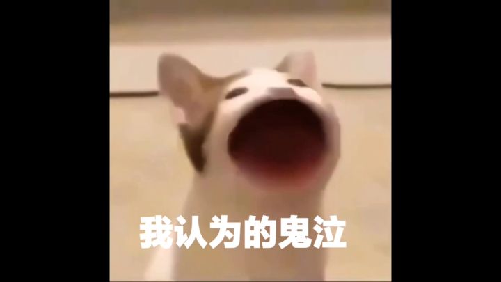 【娱乐向】为什么我玩的和你们不一样？截图