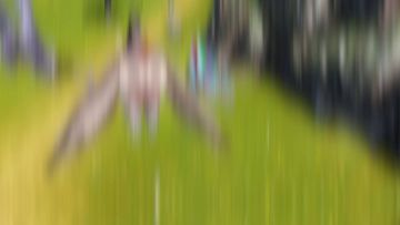 爬爬爬 万物接可爬 攀爬系统更新第二阶段！