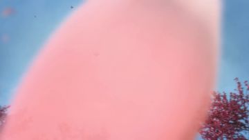 百家争鸣 《鸿图之下》首届剧本共创大赛作品风采展示！