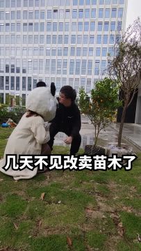 今天你种树了吗！
