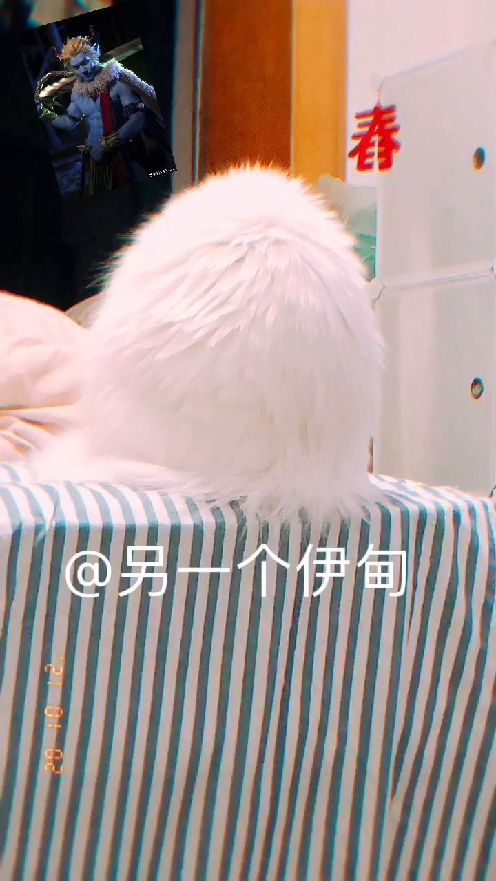 【咕猫宁】蛋生猫！调大音量有惊喜截图