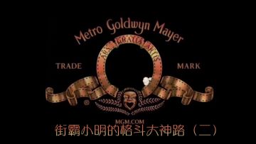 有勇有谋的格斗家都是这样搭配阵容的