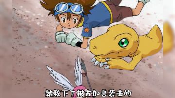 数码宝贝新世纪：为了保护主角而牺牲的数码宝贝（上）