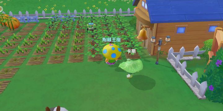 带卡斯逛小镇截图