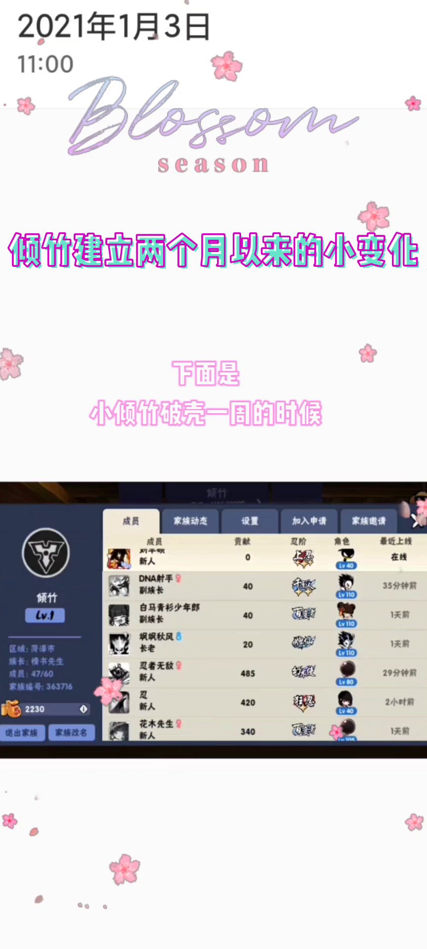 video-1827605