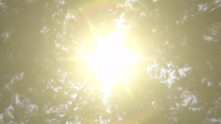 全新场景曝光!隐藏于金色沙漠深处的汽车坟场截图