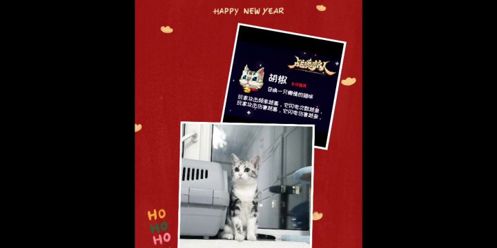 伊 卜 利 斯！一 切 都 是 你 咎 由 自 取 ！！截图