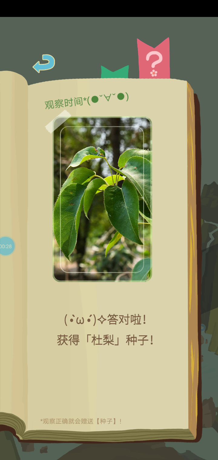 种了三棵种子截图