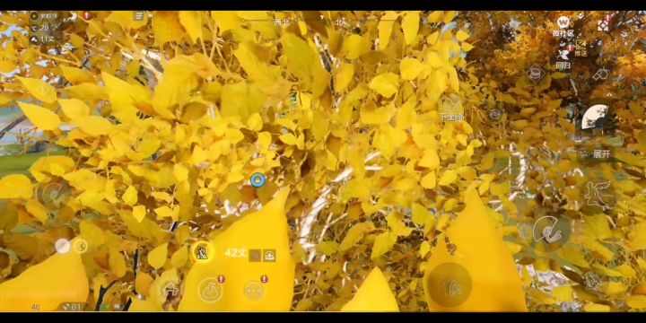 「树屋」建造基础小方法截图