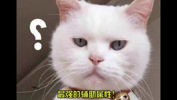 最强属性搭配，光暗美少女任你选！