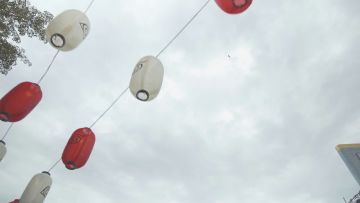 火影手游五周年众Coser邀你云游重燃祭