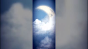 【猫头鹰和灯塔】咕咕~大家久等啦！感谢一直在默默支持我们的所有人！