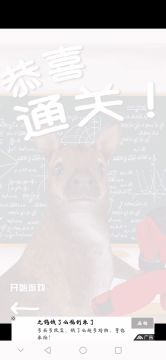 隐藏关卡找动物完整攻略