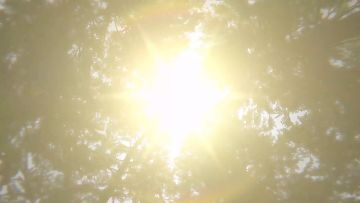 重火力轮椅！揭秘硬核养老院背后的故事