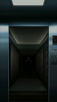 叮！看谁先到10楼~